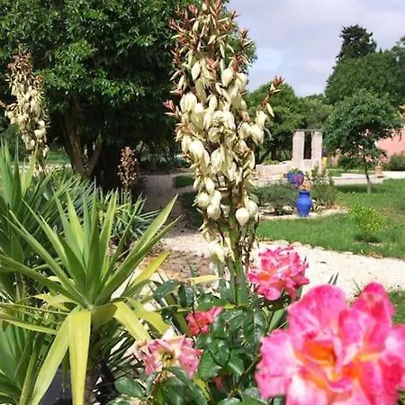 Traditional Camargue *