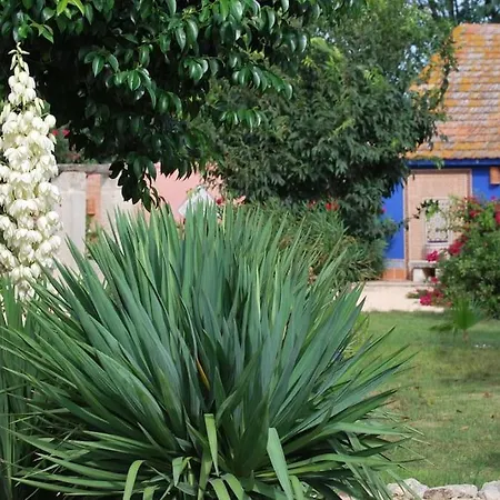 Traditional Camargue Appartement Arles