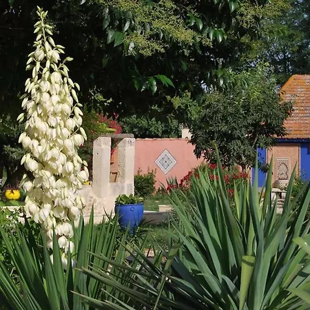 Traditional Camargue Appartement *