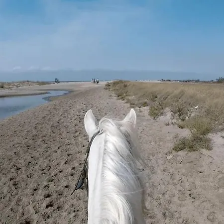 Appartement Traditional Camargue *